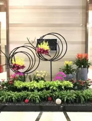 室內(nèi)綠植設(shè)計