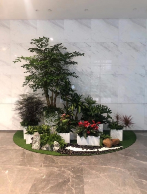 室內(nèi)綠植設(shè)計