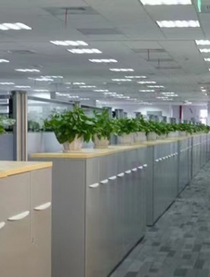 室內(nèi)綠植設(shè)計