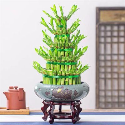 開運(yùn)竹